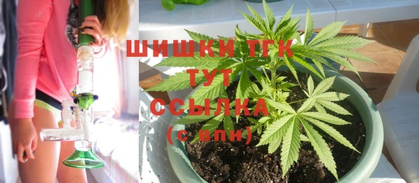 соль ск Абаза