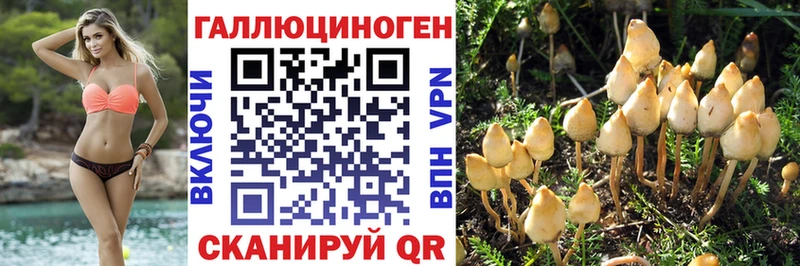 Галлюциногенные грибы прущие грибы  ОМГ ОМГ вход  Сысерть 